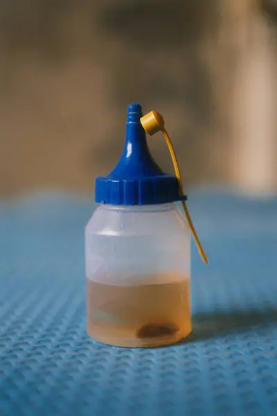 Mavi kapaklı temiz plastik sıkma şişesi ve dar sarı bir çıkıntı, kısmen açık kahverengi bir sıvıyla doldurulmuş, yağlanma veya el işi için yağ olabilir.