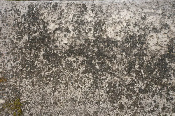 Sert, yıpranmış beton bir yüzeyin yakın çekimi açık gri ve koyu siyah yamaların karmaşık bir desenini gösteriyor, ince ipuçları yeşil yosun, grunge ya da eski dokular için mükemmel.