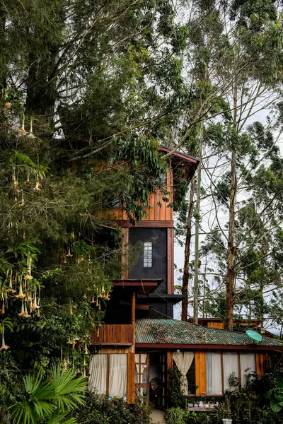 Solok, Endonezya - 17 Eylül 2024: Alahan Panjang 'daki Kayu Putih Villa' nın güzel manzarası.