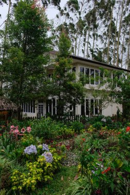 Solok, Endonezya - 17 Eylül 2024: Alahan Panjang 'daki Kayu Putih Villa' nın güzel manzarası.