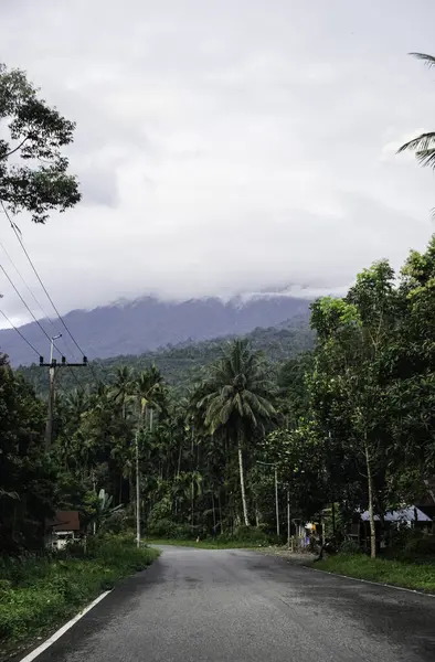 Tepe arkaplanlı güzel yol manzarası.