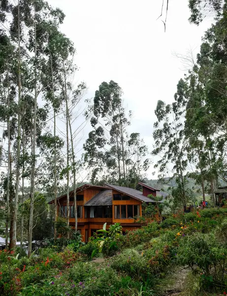 Solok, Endonezya - 17 Eylül 2024: Alahan Panjang 'daki Kayu Putih Villa' nın güzel manzarası.