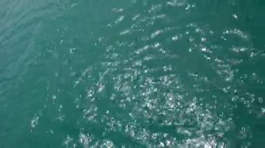 Dalgalarla mavi denize yaklaş