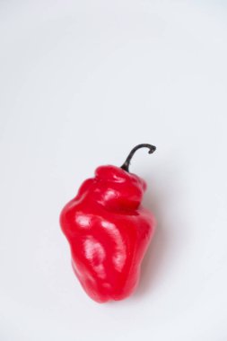 Cabe Gendot ya da Dieng Chili Habanero 'nun seçmeli odağı, Endonezya' nın popüler biberi.