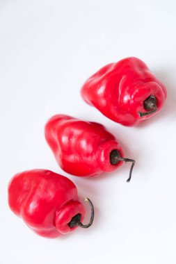 Cabe Gendot ya da Dieng Chili Habanero 'nun seçmeli odağı, Endonezya' nın popüler biberi.