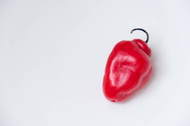 Cabe Gendot ya da Dieng Chili Habanero 'nun seçmeli odağı, Endonezya' nın popüler biberi.