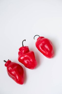 Cabe Gendot ya da Dieng Chili Habanero 'nun seçmeli odağı, Endonezya' nın popüler biberi.