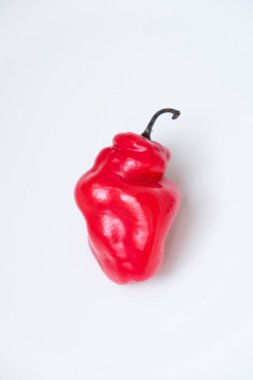 Cabe Gendot ya da Dieng Chili Habanero 'nun seçmeli odağı, Endonezya' nın popüler biberi.