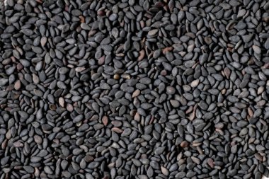 siyah susam Close-Up