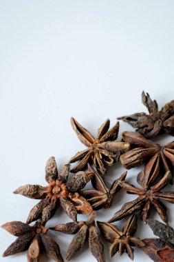 Kurumuş yıldız anasonunun yakın plan görüntüsü beyaz arkaplanda izole edildi