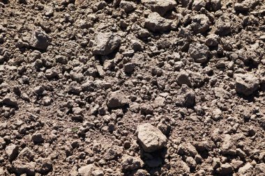 Close-up of cultivated field, healthy soil, preparing land for plants, soil texture and structure, natural agricultural landscape, daily farm work.