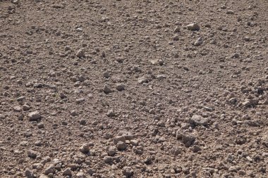 Close-up of cultivated field, healthy soil, preparing land for plants, soil texture and structure, natural agricultural landscape, daily farm work.