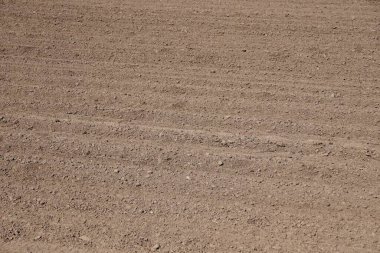 Nemli ve karanlık topraklarla döşenmiş tarlalar sağlıklı ekinler ve çiftçiler için temel oluşturur..