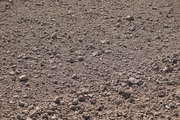 Close-up of cultivated field, healthy soil, preparing land for plants, soil texture and structure, natural agricultural landscape, daily farm work.