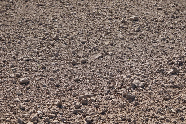 Close-up of cultivated field, healthy soil, preparing land for plants, soil texture and structure, natural agricultural landscape, daily farm work.