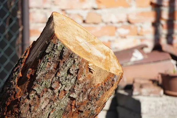 Düzgün dizilmiş odun kesimi, sağlam ve sağlıklı tahta parçalarının kullanılmaya hazır olduğunu gösteriyor. Tahtanın dokusu ve kalitesi açıkça görülüyor..