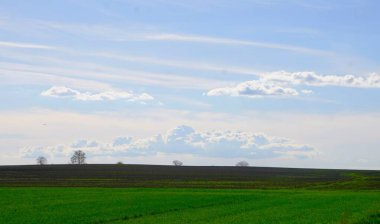 Plowed field in Poland, prepared for cultivation, view of even, dark soil, agriculture, work in the field, nature, farm, peaceful rural landscape, ready for sowing.