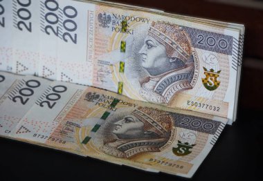 Çeşitli kağıt banknotları olan Polonya parası yayılmış. Para birimi Polonya 'da nakit ödemelerde kullanılan farklı değerleri gösteriyor.