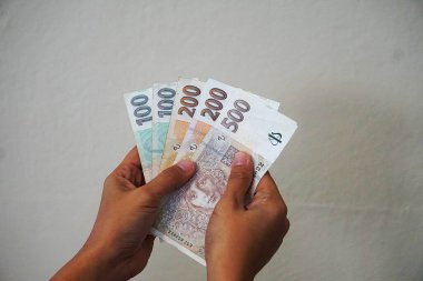 Çek kağıt banknotları çeşitli değerler (500, 200, 100) elde. Nakit para sayan kişi, görünür banknotların detayları..