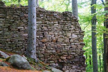 Ağaçların arasında, Kaltentejn Kalesi 'nin kalıntıları Ern Voda yakınlarında saklı. Zamanın taşların ve yeşilliklerin arasında durduğu huzurlu ve tarihi bir yer..