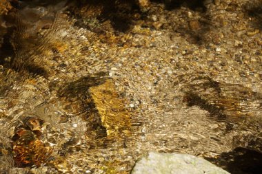 Şeffaf akarsu yumuşak taşların üzerinden akar doğal bir detay vahşi doğanın saflığını ve sakinliğini gösterir..