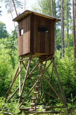 Ormanda avlanma standı, vahşi yaşamı gözlemlemek için bir yer, avcılık, ahşap yapı, doğal çevre, ağaçlar, orman sakinliği, açık hava, doğa, vahşi hayvanlar..
