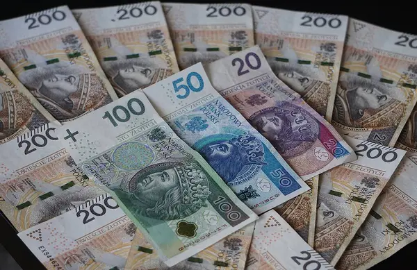 Çeşitli kağıt banknotları olan Polonya parası yayılmış. Para birimi Polonya 'da nakit ödemelerde kullanılan farklı değerleri gösteriyor.