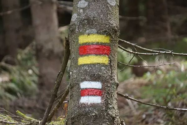 Biri beyaz arka planda, diğeri sarı çizgili iki kırmızı iz. İşaretler bir dağ bölgesindeki taşlarda görülebilir..