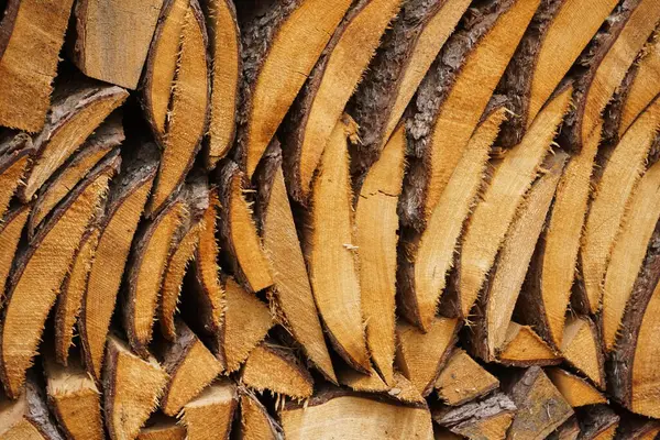 Çam ağacını istifle ve kullanılmaya hazır hale getir. Ahşap parçaları kış yakıtı ya da ahşap işçiliği için hazırlanır, doğal dokuları ve taze kesikleri gösterir..