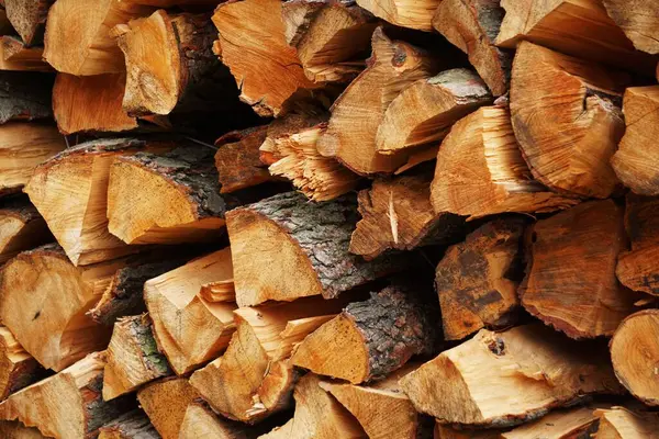 Çam ağacını istifle ve kullanılmaya hazır hale getir. Ahşap parçaları kış yakıtı ya da ahşap işçiliği için hazırlanır, doğal dokuları ve taze kesikleri gösterir..