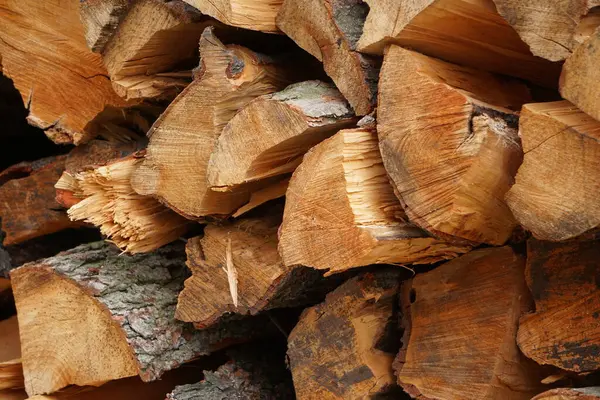 Çam ağacını istifle ve kullanılmaya hazır hale getir. Ahşap parçaları kış yakıtı ya da ahşap işçiliği için hazırlanır, doğal dokuları ve taze kesikleri gösterir..