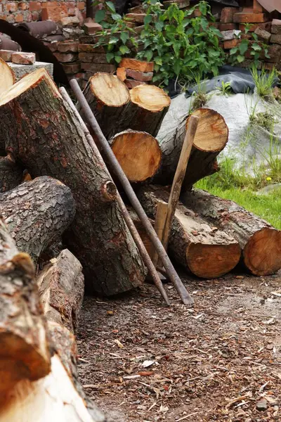 Çam ağacını istifle ve kullanılmaya hazır hale getir. Ahşap parçaları kış yakıtı ya da ahşap işçiliği için hazırlanır, doğal dokuları ve taze kesikleri gösterir..