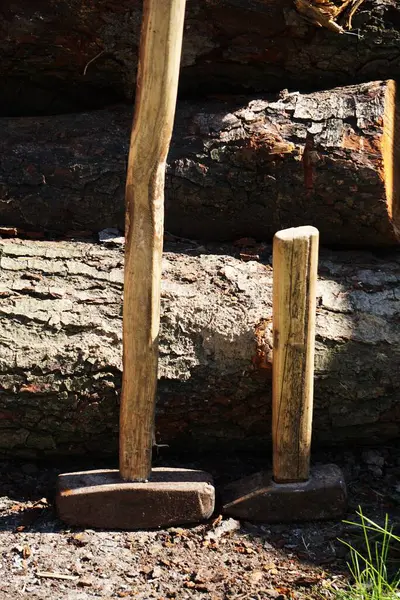 Çam ağacını istifle ve kullanılmaya hazır hale getir. Ahşap parçaları kış yakıtı ya da ahşap işçiliği için hazırlanır, doğal dokuları ve taze kesikleri gösterir..