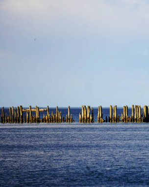 Dalgakıranların yakın çekimi kısmen Baltık Denizi 'nin sularına battı. Su, yapıları çevreleyerek görünür bir kıyı şeridi olmadan sakin bir deniz manzarası oluşturur..