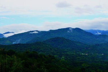 Hafif sisle kaplı yoğun bir orman gizemli ve nemli bir tropikal manzara yaratır. Yumuşak sis ışığında yıkanmış yaprak ve ağaç gövdeleri doğanın vahşiliğini vurgular..