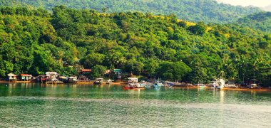 Filipinler, Palawan sahilindeki bir tekne güvertesinden görüntü. Suyun üstündeki ayaklıklarda evler, arka planda yemyeşil orman ve güneşli, hoş hava..