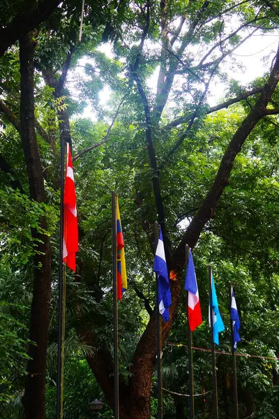 Norveç ve Meksika da dahil olmak üzere çeşitli ülkelerin bayrakları bir parkta bayrak direkleri üzerinde dalgalanıyor. Renkli afişler rüzgarda sallanıyor, yeşil bir ortamda..