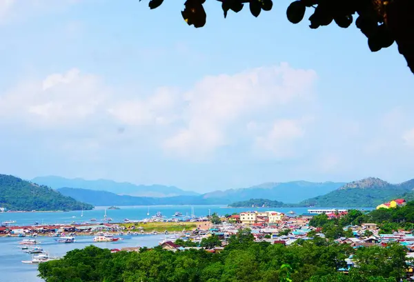 Coron Panoraması şehri, turkuvaz suyunu, ormandaki evleri ve etrafındaki dağları gösteriyor..