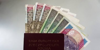 Polonya pasaportunda 500, 100 ve 20 z 'lik banknotları temizle. Banknotlardaki mezheplerin ve güvenlik özelliklerinin görünür detayları.