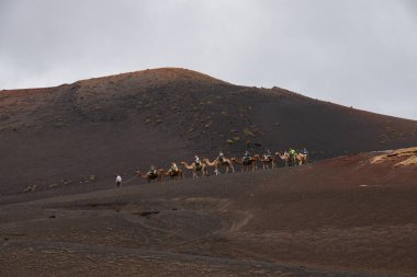 Timanfaya Milli Parkı 'nda deve sürüşü