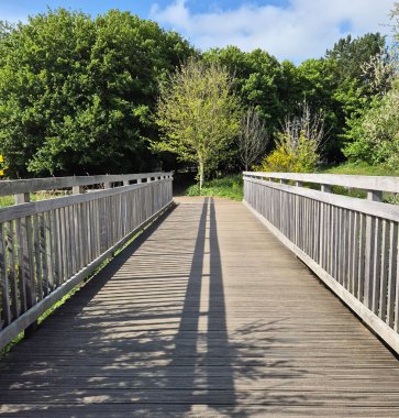 Tahta köprü. İleriye giden yol. Yüksek kalite fotoğraf