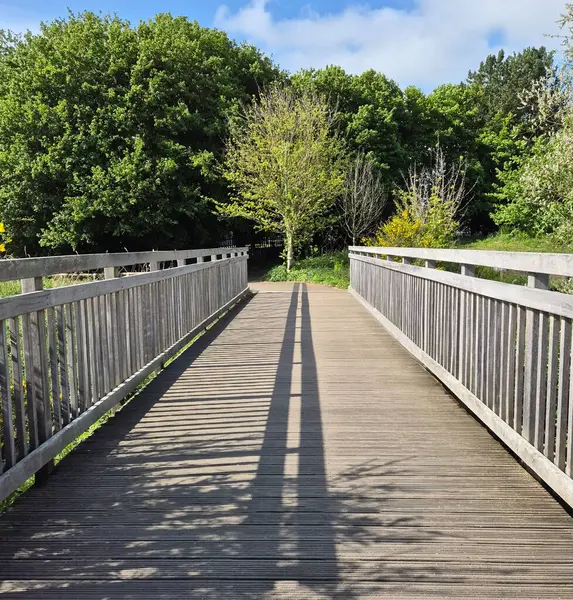 Tahta köprü. İleriye giden yol. Yüksek kalite fotoğraf