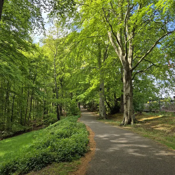  İleriye giden yol. Yüksek kalite fotoğraf