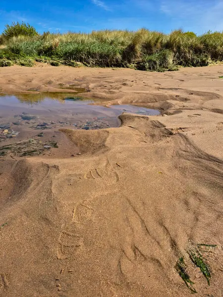 Sahilde sığ su. Yüksek kalite fotoğraf