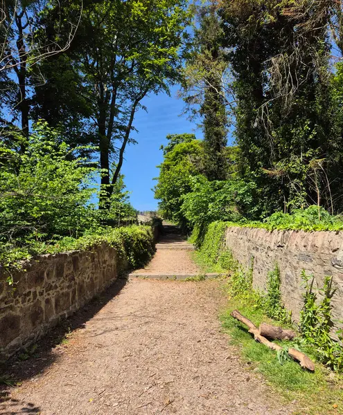 Taş duvarları ve yemyeşil yemyeşil olan huzurlu orman yolu. Yüksek kalite fotoğraf