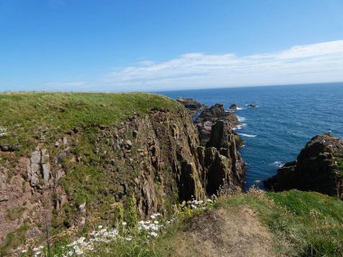 Yumuşak, hafif bulutlu bir gökyüzünün altında sakin mavi denize dalan pürüzsüz, siyah kayalıklı bir kıyı şeridi. Küçük su birikintileri kaya oluşumları arasında dinleniyor, hafif dalgalar kenarlara vuruyor..