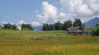 Çimen tarlası olan güzel bir manzara ve bir dağ yeşili ve güzel bir çiftlik, beyaz bulutlar ve mavi gökyüzü ile güzel ve parlak.