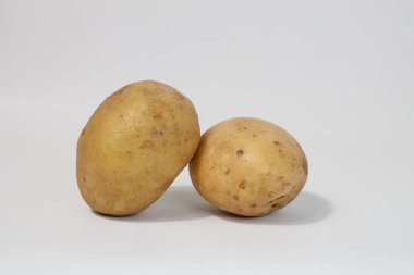 Taze patatesler. Beyaz arka planda izole edilmiş patatesler. Patatesleri sökün. Hasat koleksiyonu. organik, taze kazılmış patatesler. Sebzeler.