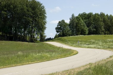 Güneşli bir yaz gününde yeşil çayırlar ve ağaçlar arasında dolambaçlı bir yol. Yüksek kalite fotoğraf