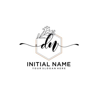 Handwriting Floral Initial Logo DN with Geometric Frame
